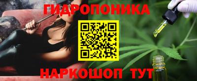 стаф Заволжье