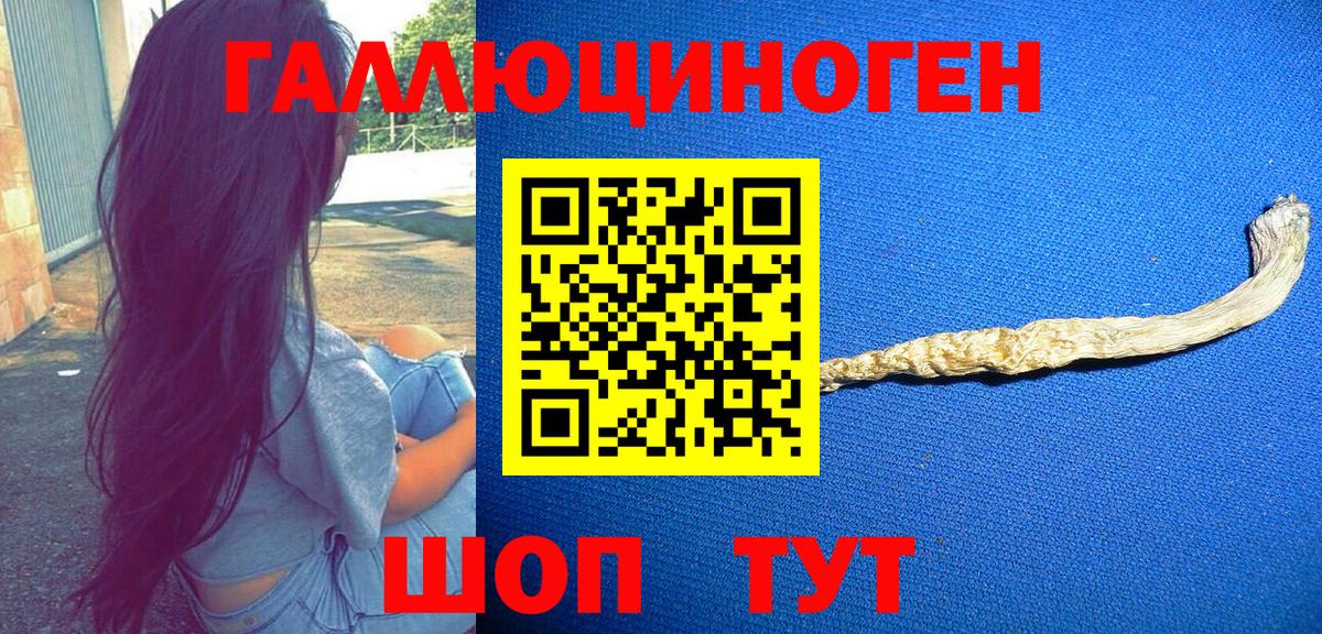 Звенигород  Галлюциногенные грибы ЛСД  Вход с VPN  Галлюциногенные грибы прущие грибы 